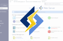 LiteSpeed cPanel Plugin CVE-2026-48172 Exploited to Run Scripts as Root